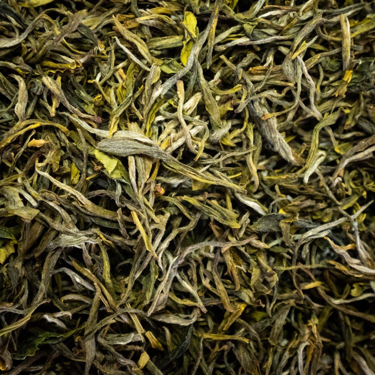 huang shan mao feng.jpg