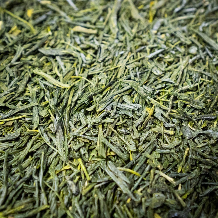 shincha makurazaki 2.jpg