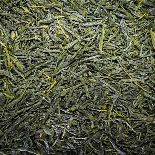 shincha makurazaki.jpg