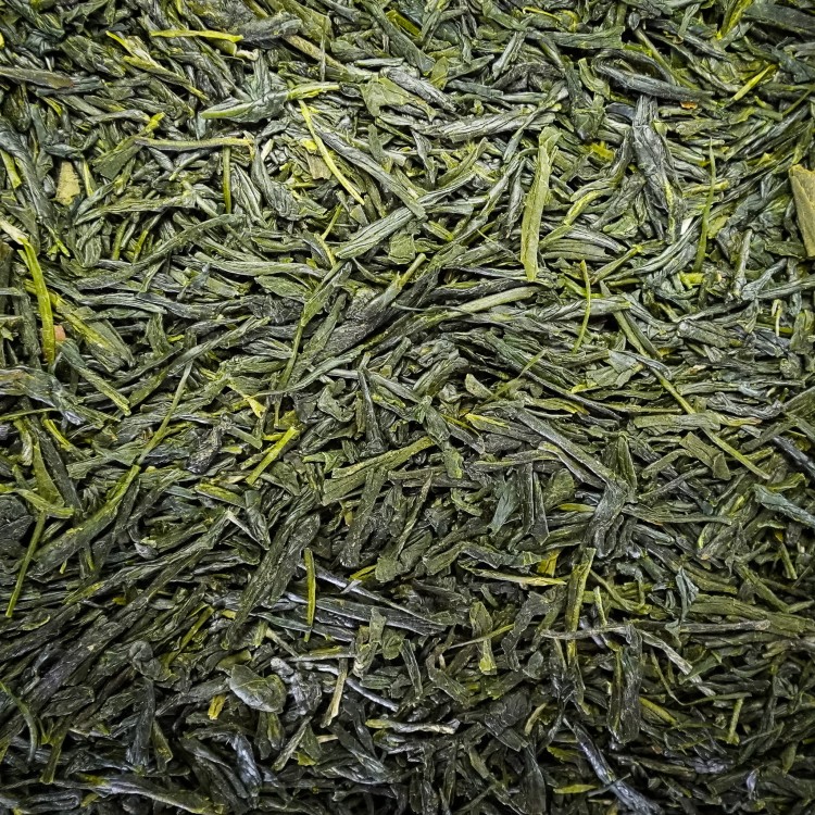 shincha makurazaki.jpg