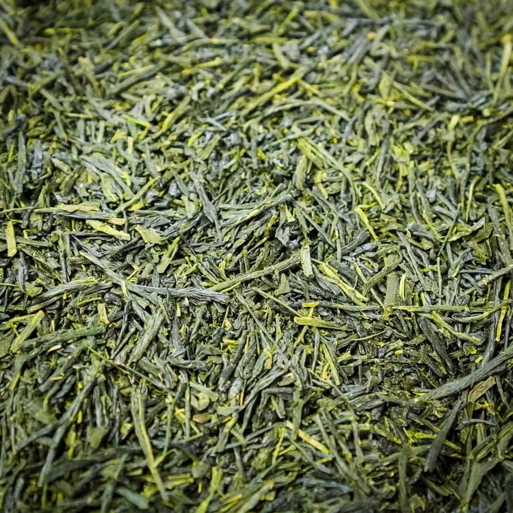 sencha kirishima 2.jpg