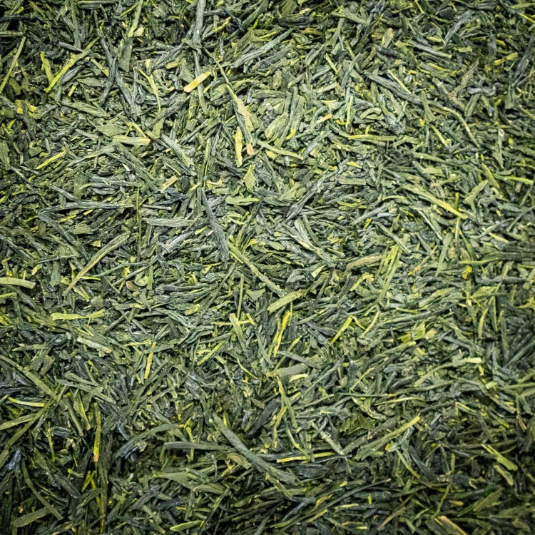 sencha kirishima.jpg