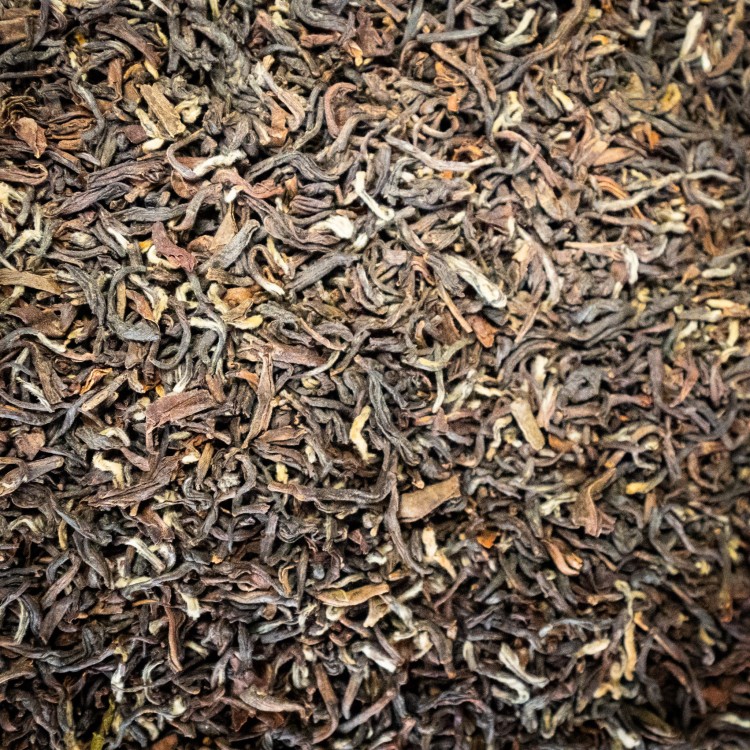 DARJEELING JUNGPANA.jpg