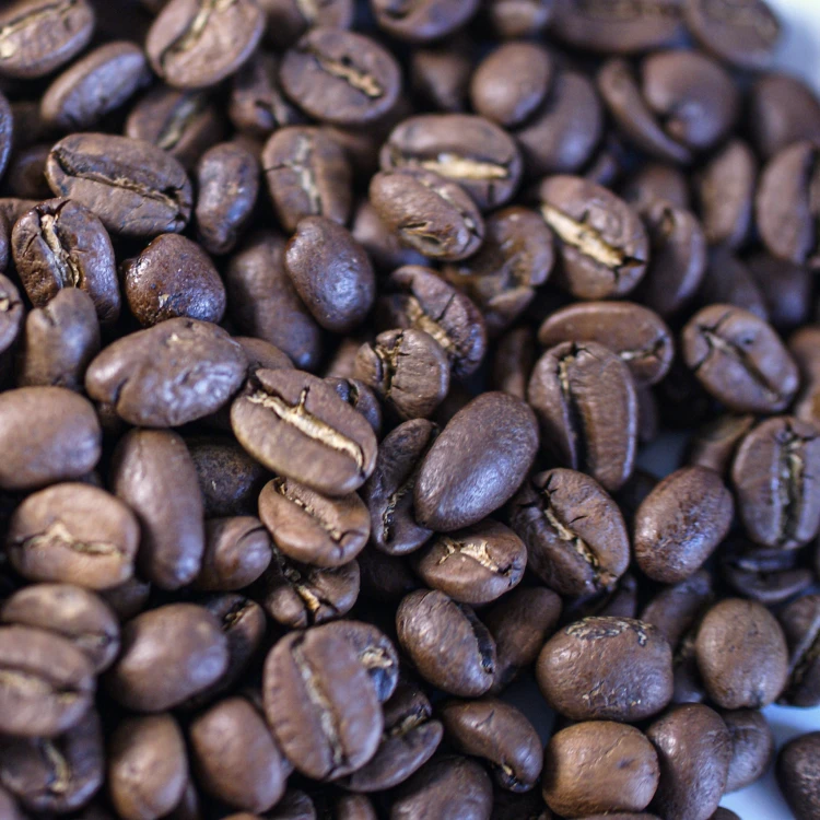 57404.jpg